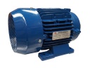 Motor electrico IP55 clase F 60Hz